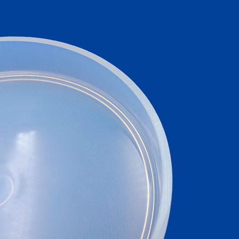 PFAシャーレ/内側拡大